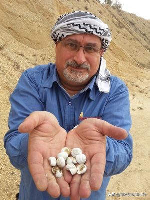 蜗牛是不是世界上牙齿最多的动物,蜗牛为什么被称为牙齿最多的动物