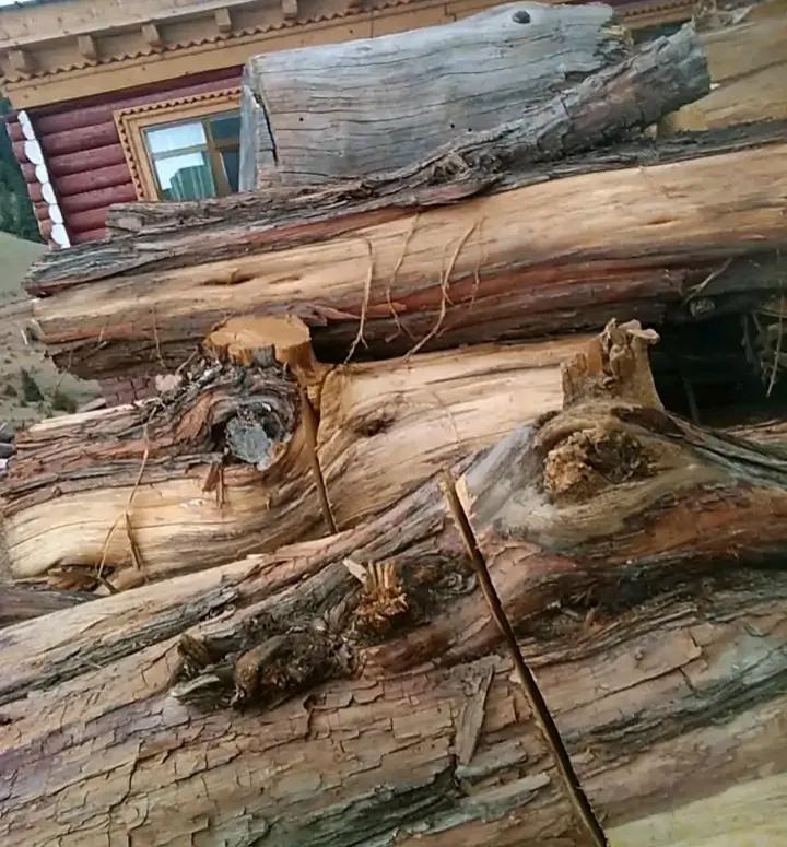 你能想象到吗,藏族支教的真实生活