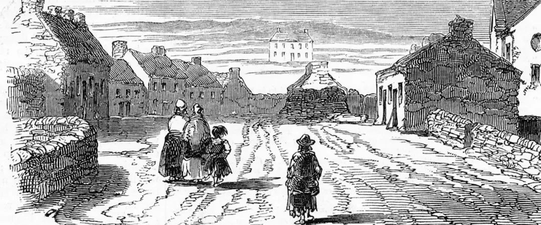 爱尔兰饥荒是由什么引起的,爱尔兰的饥荒是怎么回事