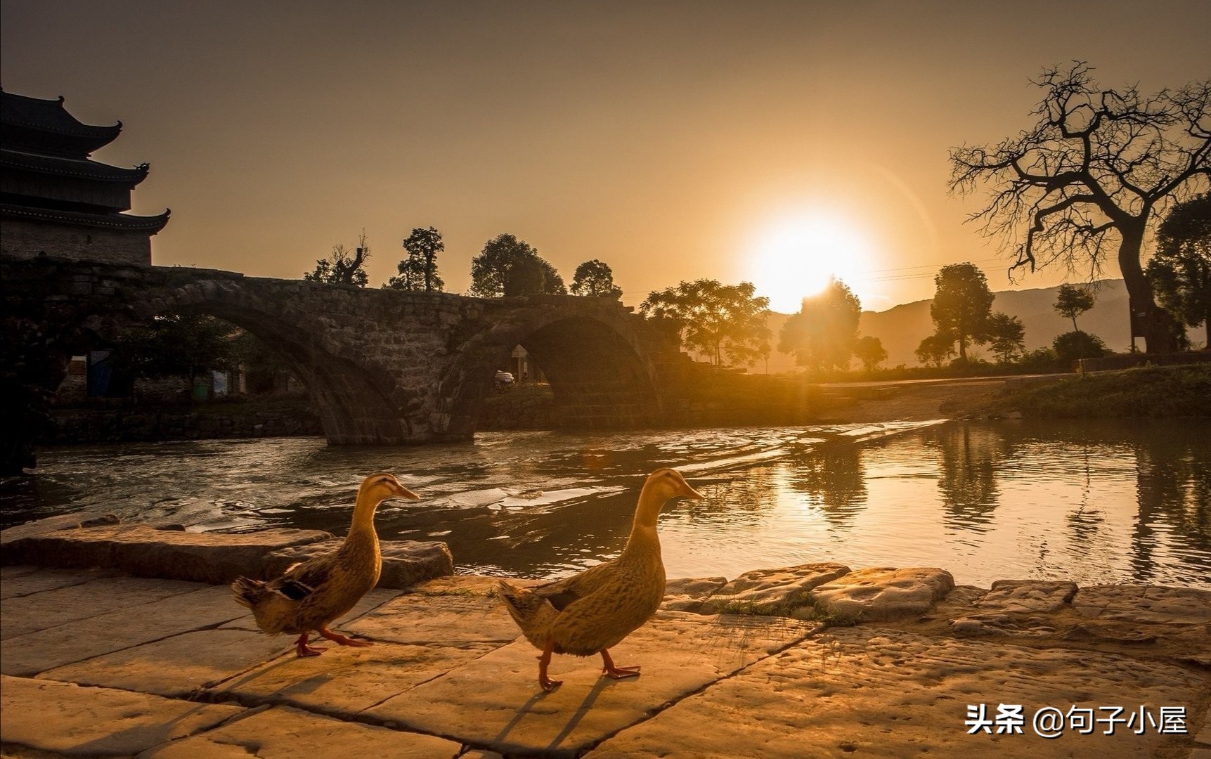 值得摘抄的句子30句,优美句子摘抄每天三则