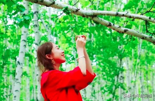 呼伦贝尔大草原旅游七天攻略预算,去呼伦贝尔可以自由行吗