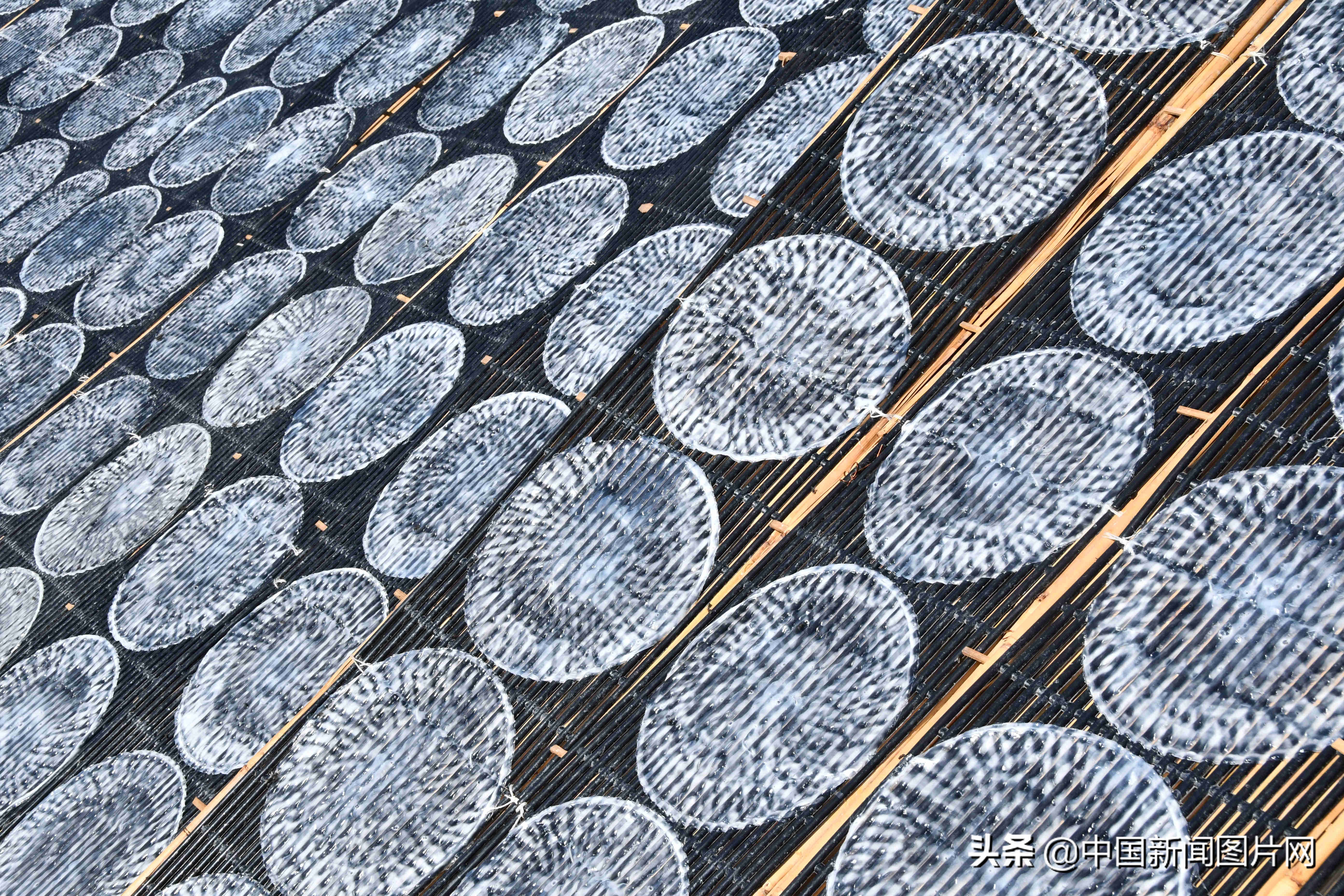 黄县手工粉皮现做现卖,粉皮加工厂致富项目