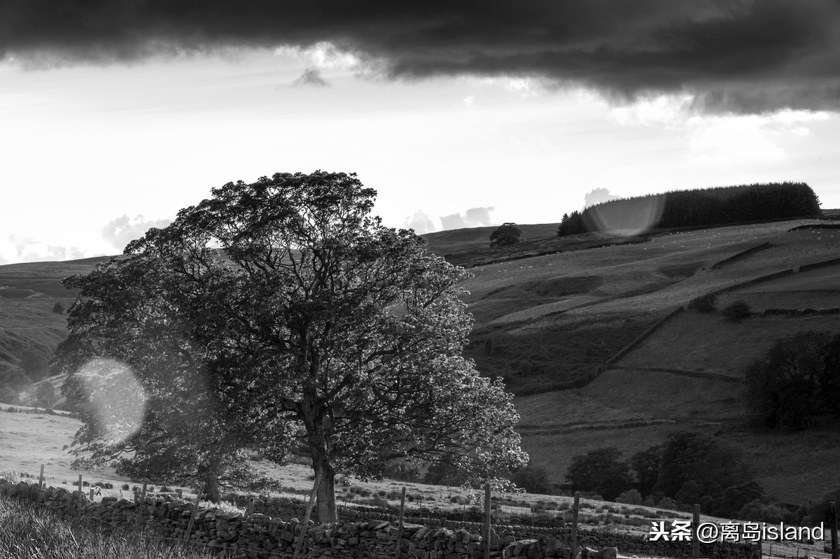 呼啸山庄艾米莉勃朗特诞辰200周年,艾米莉勃朗特在哪创作了呼啸山庄