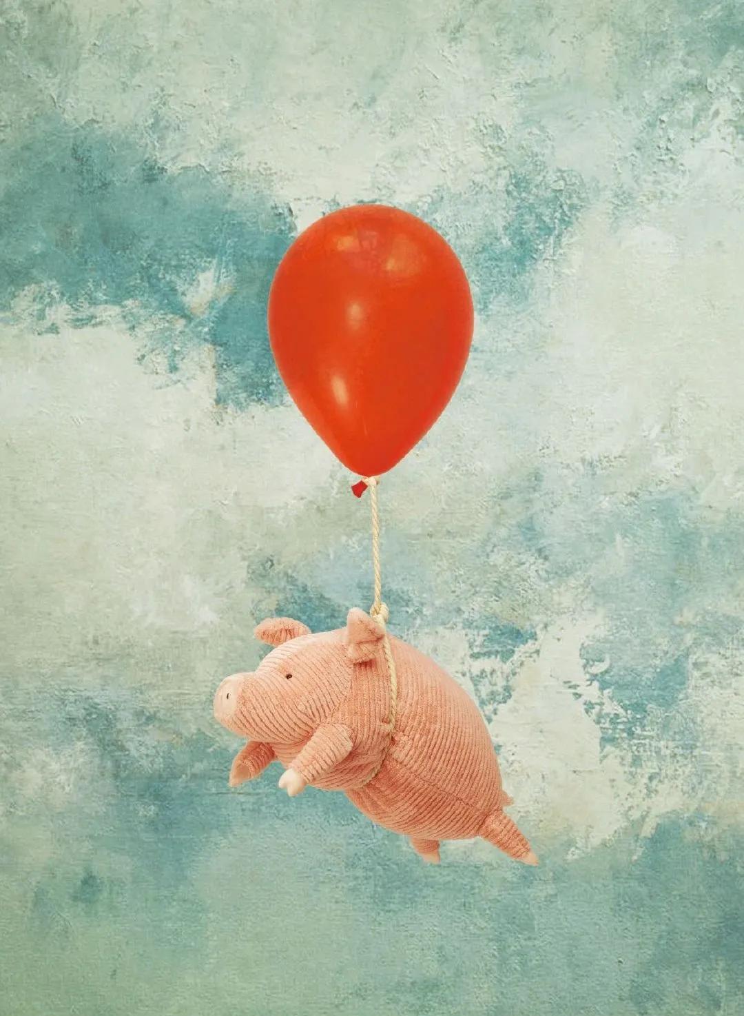 jellycat最好看的一款兔子,jellycat怎么养