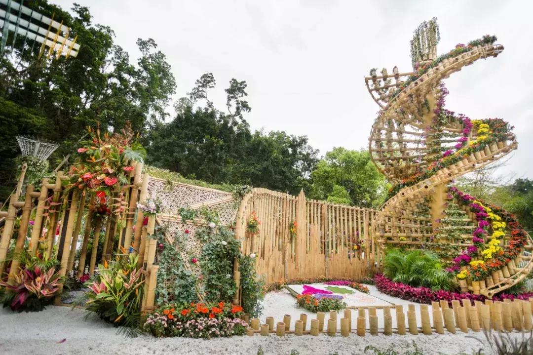 未来10天预警，深圳最最最最火的地方在这里，美女都赶来打卡