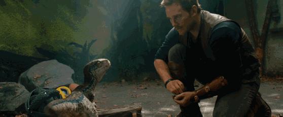 寻找侏罗纪世界中的火山岛,和“驯龙高手”一起拯救史前小短手!