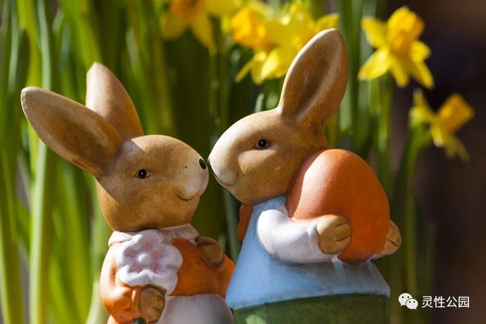 你值得过更好的生活第十二章,你值得过更好的生活全书重点