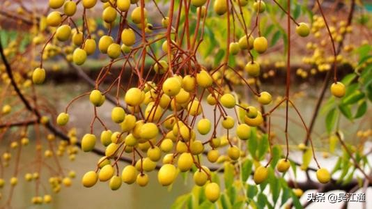 一家三代都是我的女人,我们家的女人越来越多