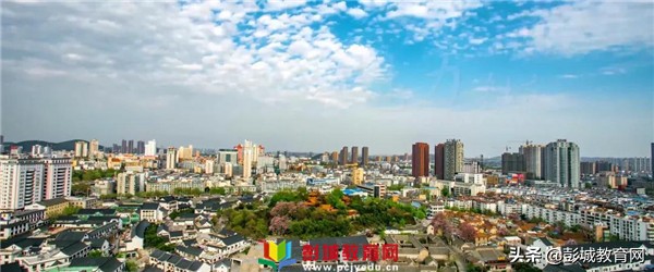 奥运会四金三银,奥运会四金指的是哪四金