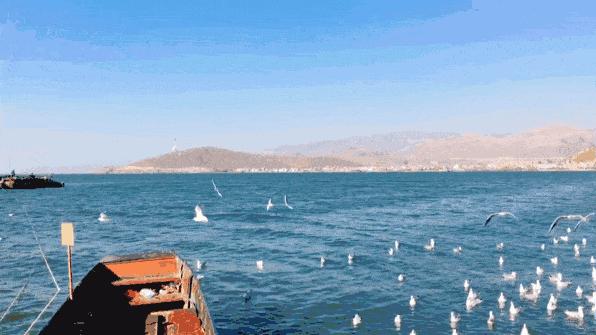 玩遍北京打卡新地标,最新景点网红打卡地