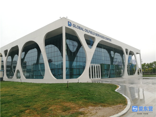 东营德仕能源简介,东营德仕公司