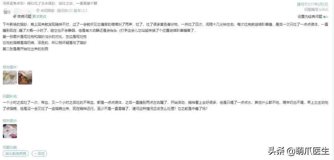 猫突然喜欢咬东西,怎么改掉猫吃猫砂的毛病