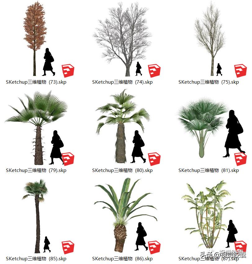 不去用模型树,你根本不知道它有多“香”?