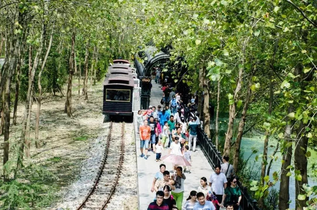 合肥六一去哪玩附近,合肥遛娃好去处六七岁孩子