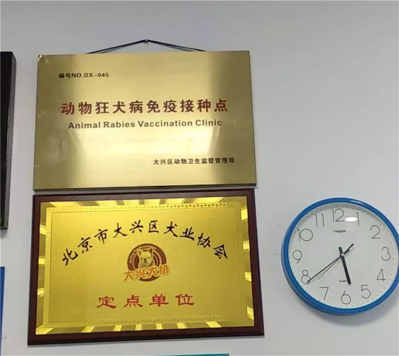 0元给狗狗打疫苗，正确姿势你知道吗？除了狗狗，猫也可以哟