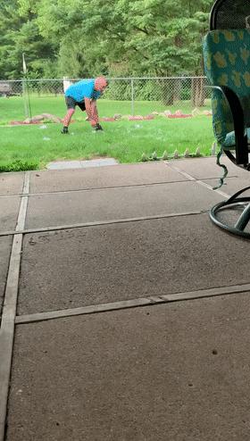 哈士奇到底怎么养它才能听话,哈士奇的优点和缺点