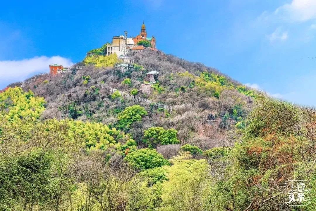 上海宋城免费景点,上海一日游攻略必去景点免费