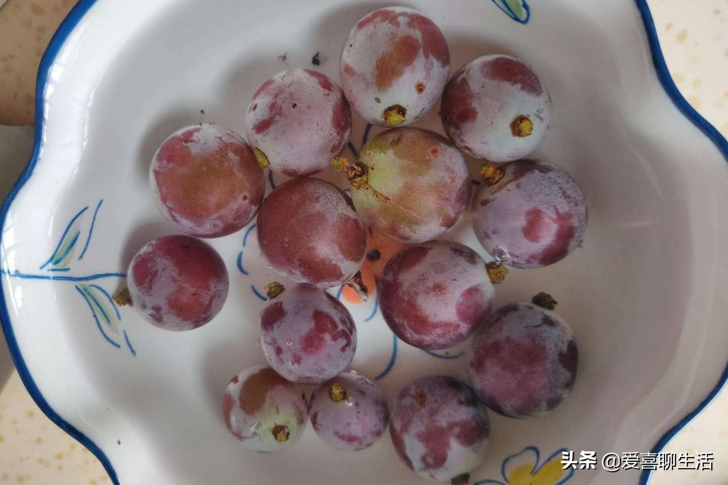 葡萄怎样洗得干净又好吃,立秋后葡萄怎么用磷酸二氢钾