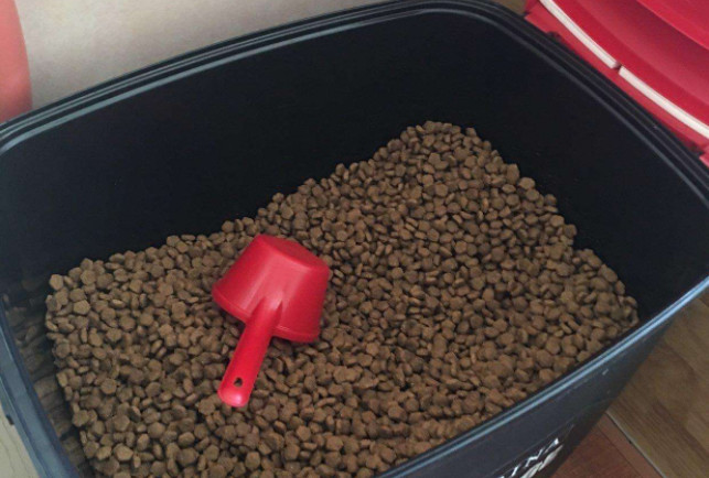 狗粮适口性不好怎么改善,狗粮密封坏了怎么补救