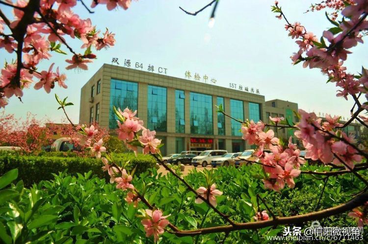 信阳154医院老兵发文追忆：永远的一五四（图）