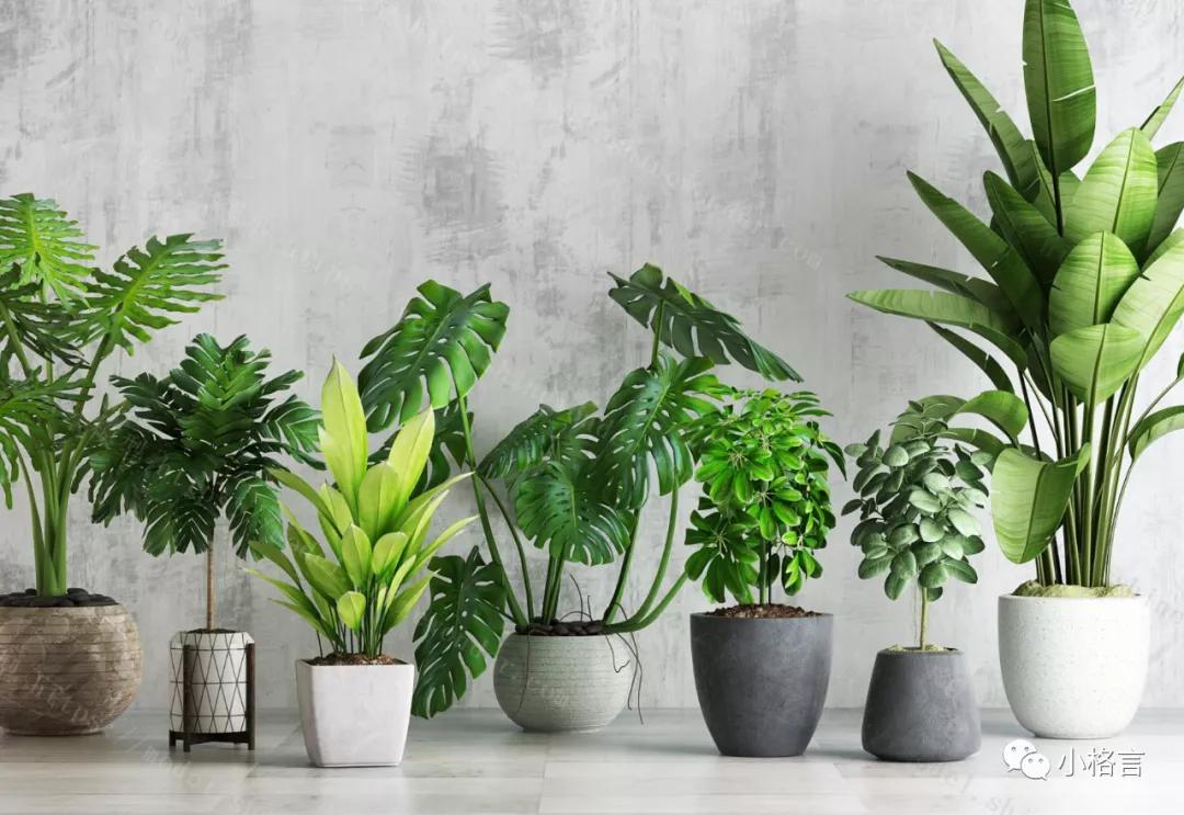 加拿大黄金首饰入境的海关规定,加拿大海关携带现金规定