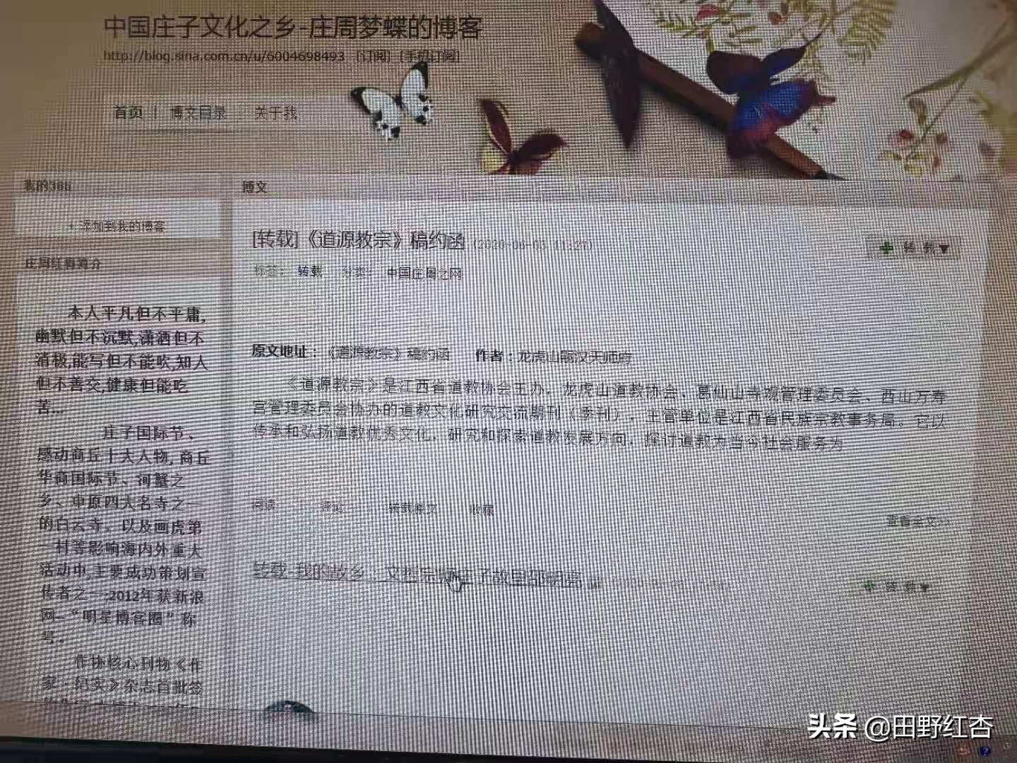 中国新浪明星博客圈入选标准是什么？田野红杏凭借什么入选的