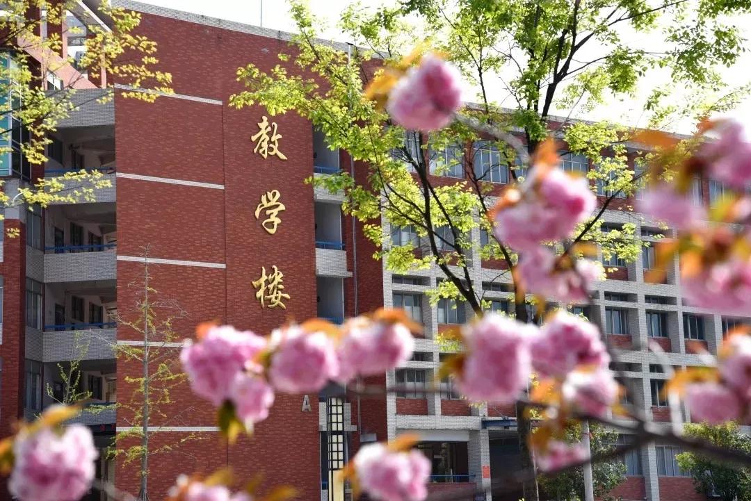 淮南师范学院在安徽排名,淮南师范学院安徽省排名