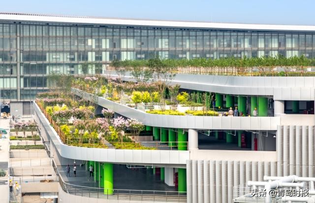 大兴机场工程纪录片,超级工程大兴机场纪录片