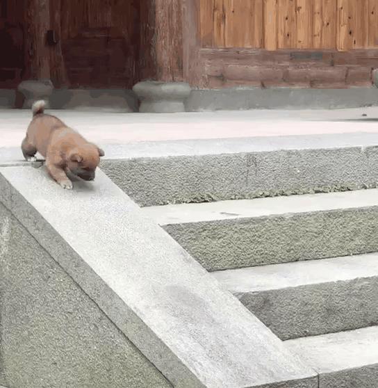 福州亲子游攻略民宿,福州附近二日一夜亲子旅游推荐