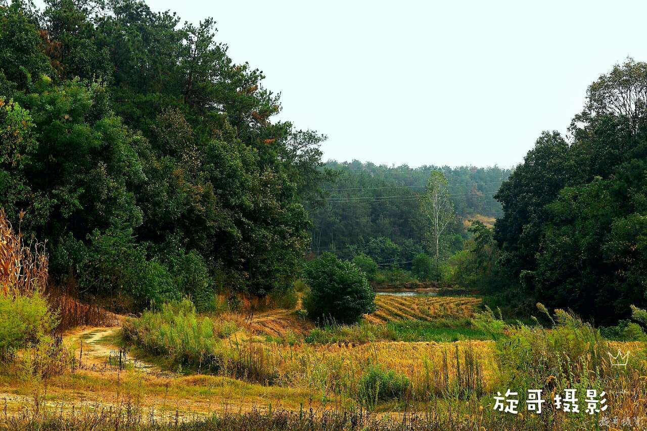 静夜思是李白在哪个地方写下来的,一千多年前李白静夜思诞生的地方