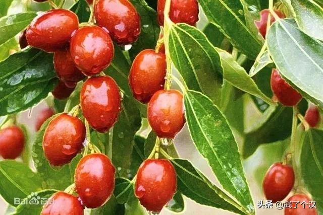 静海在天津的地位,天津静海的发展