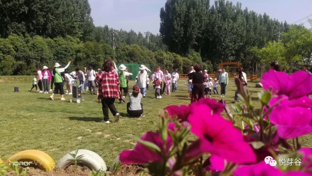 春末夏初,美美的三炫等你来