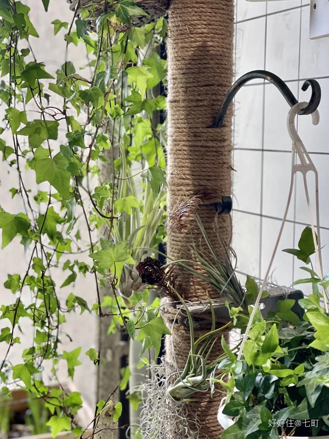 看完她家78㎡江景房，才发现最懂生活的，还是川渝人啊