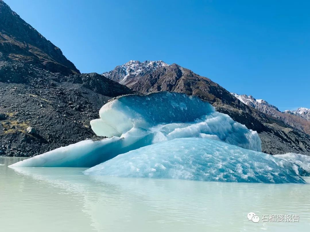 旅行7天,新西兰霍比特人村游记