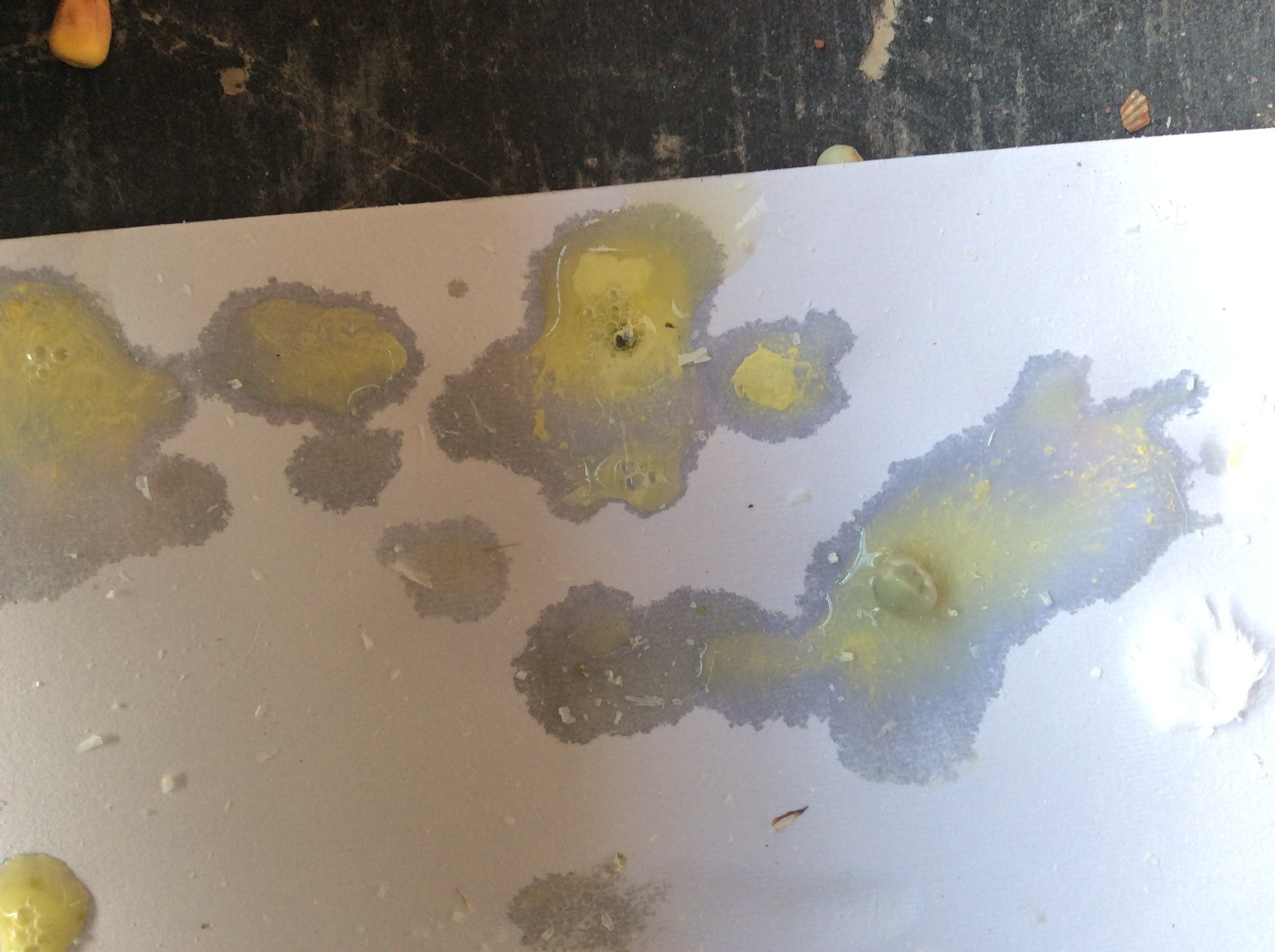 鸽子顽固性腹泻，水样粪便的病因和治疗方案