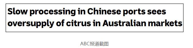 知道错了吗？澳大利亚柑橘滞留中国港口，议员猛批：太愚蠢