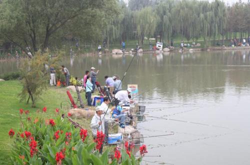 新手传统钓怎么选,写自己的经验怎么写