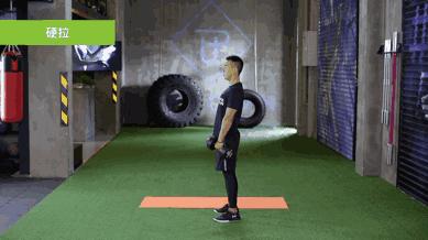 一副哑铃一个星期健身训练表,足不出户哑铃