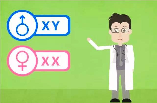 双性人是怎么形成的原因是什么,双性人是哪两种生殖系统