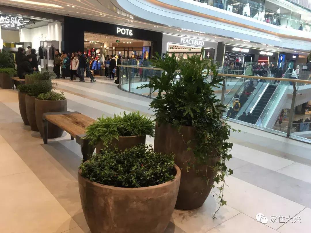 大兴凯德mall新开店,凯德mall大兴开业