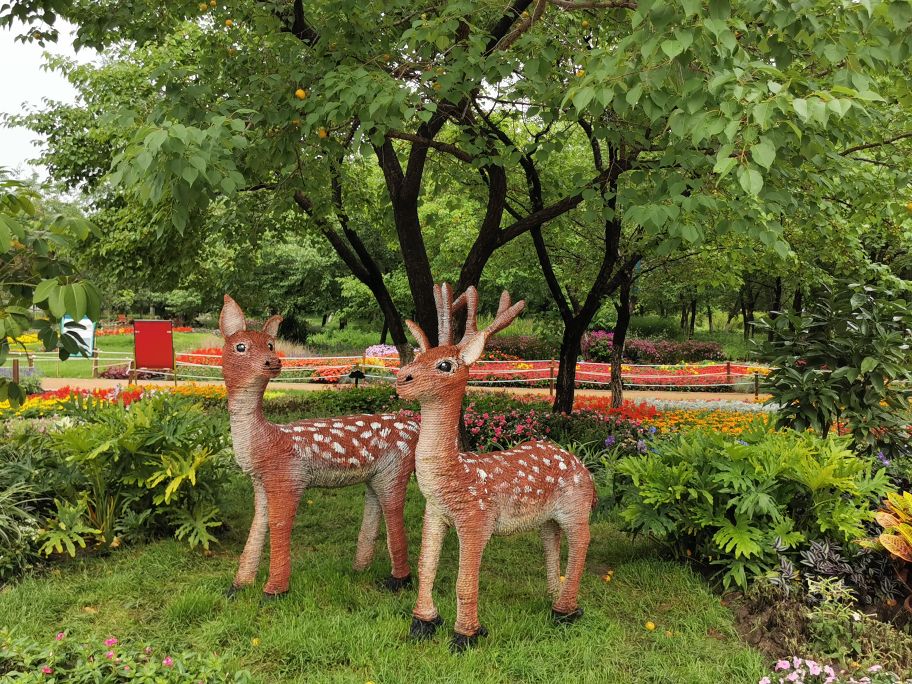百花园里花里花争艳,百花园里百花香