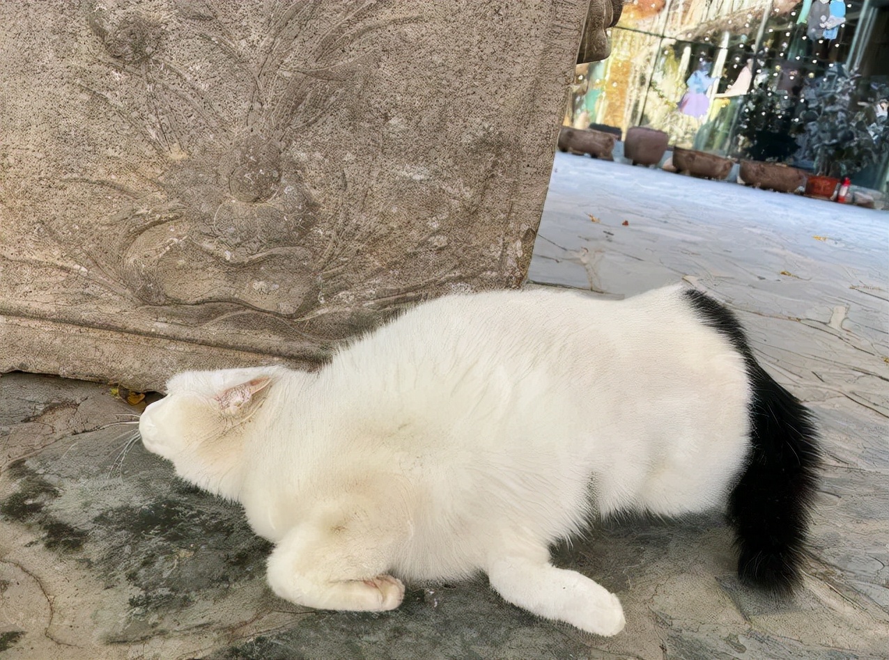 浣犺兘鐚滃嚭璋佺畻鎴戣緭,浣犵寽寰楀嚭鏉ョ畻鎴戣緭