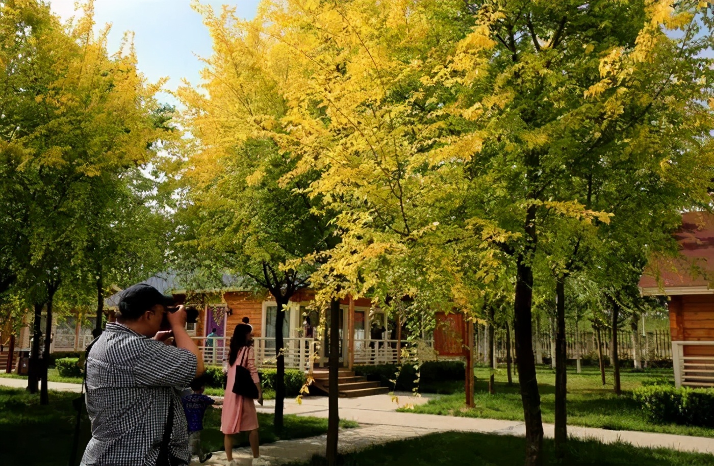 天津十大自然风景区,天津九山顶自然风景区赏秋