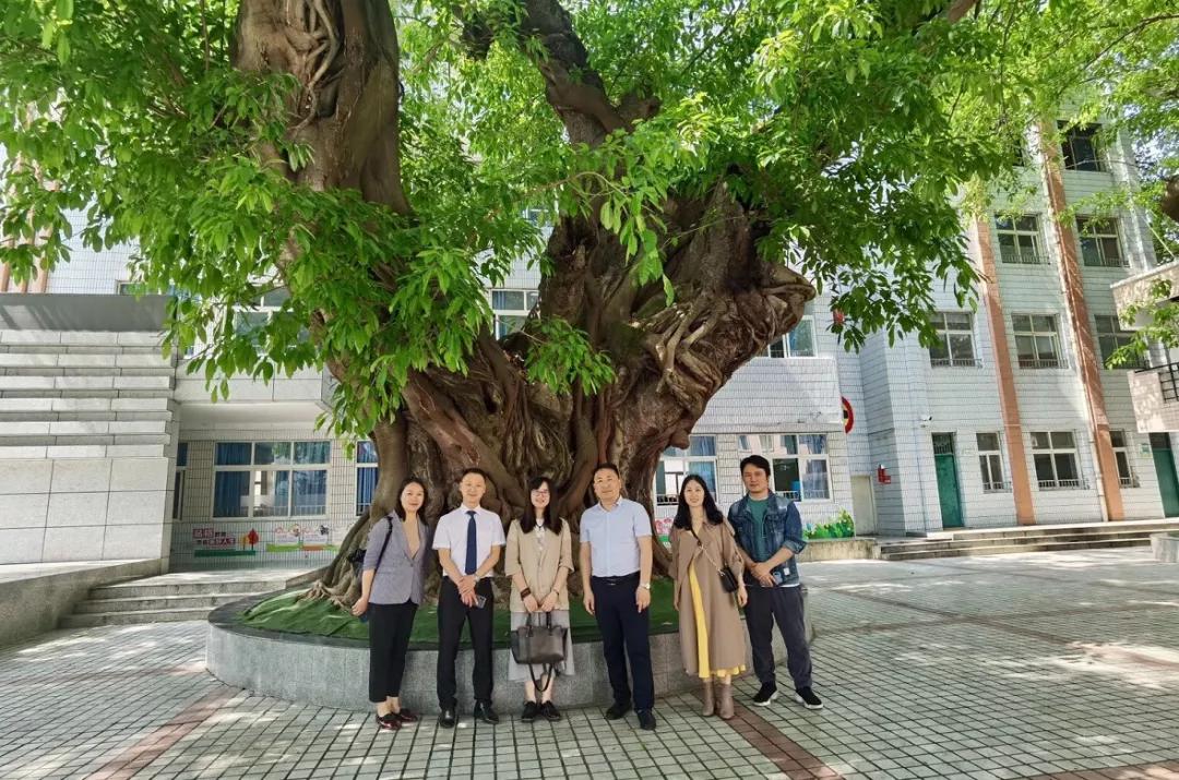 四川校园文化建设丨红心闪闪，学达天下—三台县七一小学文化建设