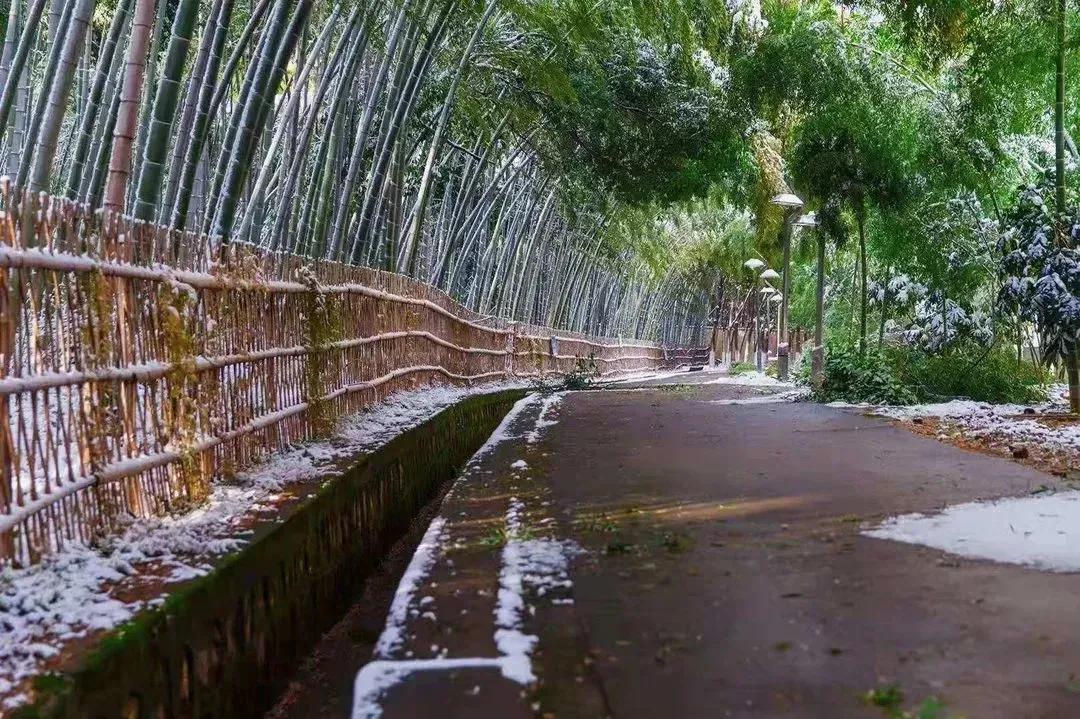 鑻忓窞澶у鏂囨瀛﹂櫌浠嬬粛,鑻忓窞澶у鏂囨瀛﹂櫌鍥剧墖