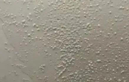 墙面泛碱脱落和受潮区别,墙面泛黄起碱什么原因