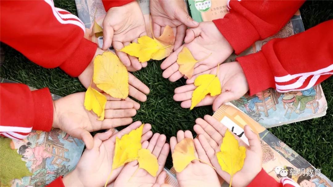 一所充满爱的学校,这是一所漂亮的学校英语