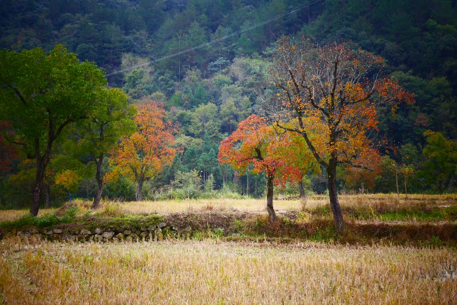 人迟早都会死,人为什么死