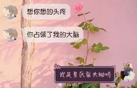 直男直女更容易走到最后,直男直女如何破局