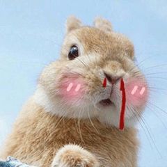 高鼻梁的女生到底有多好看,高鼻梁的女生好看吗